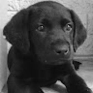 Meet your Posher, Lillian